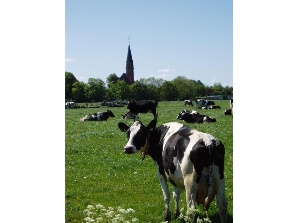 Ferienwohnung Hein Am Nordseedeich Бутьядинген Экстерьер фото