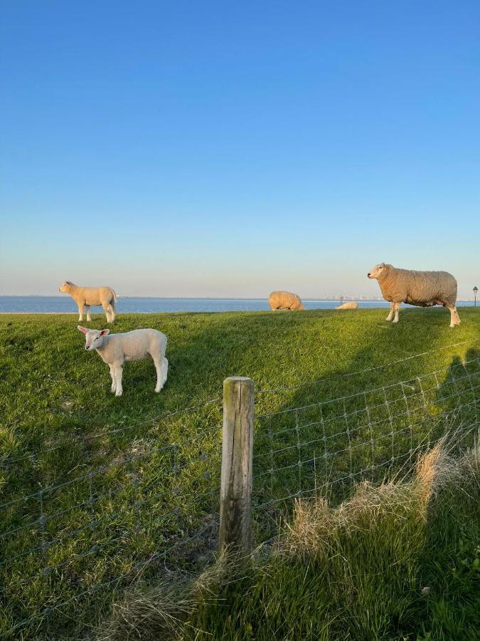 Ferienwohnung Hein Am Nordseedeich Бутьядинген Экстерьер фото