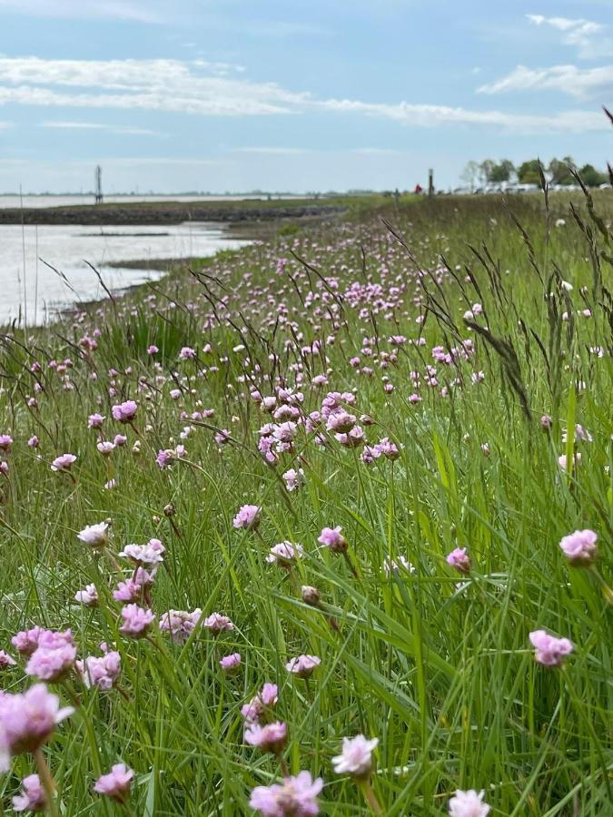 Ferienwohnung Hein Am Nordseedeich Бутьядинген Экстерьер фото